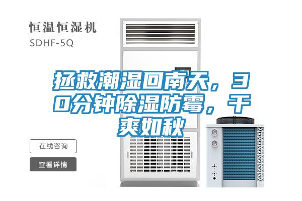 拯救潮湿回南天，30分钟除湿防霉，干爽如秋