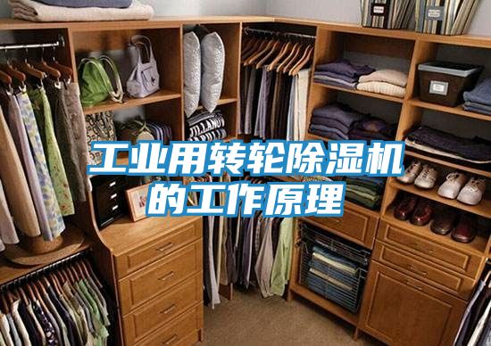 工业用转轮除湿机的工作原理