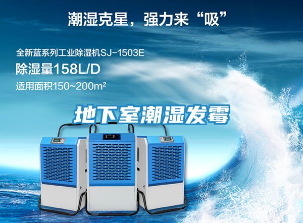 地下室潮湿发霉