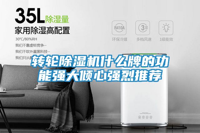 转轮除湿机什么牌的功能强大倾心强烈推荐