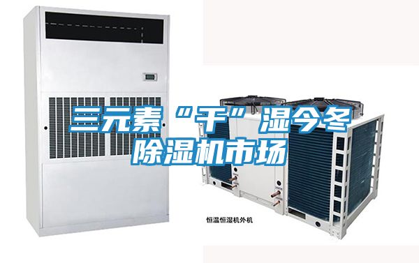 三元素“干”湿今冬除湿机市场