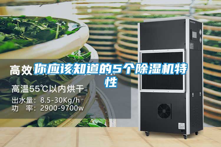 你应该知道的5个除湿机特性