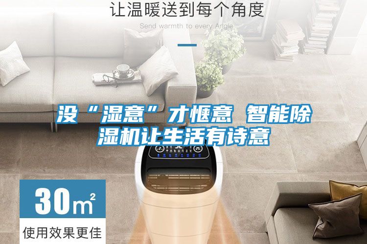 没“湿意”才惬意 智能除湿机让生活有诗意