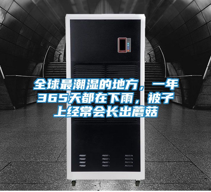 全球最潮湿的地方，一年365天都在下雨，被子上经常会长出蘑菇