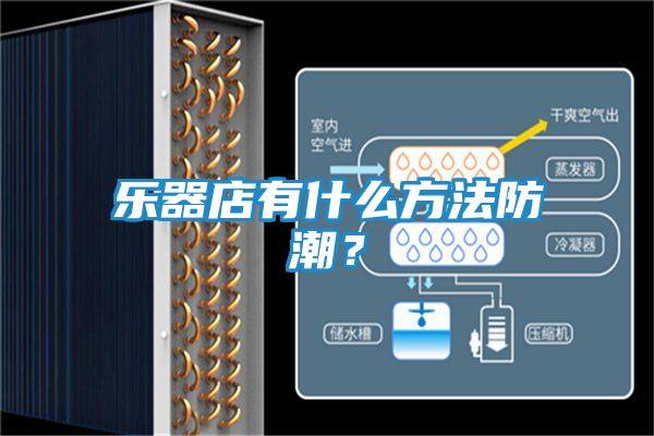 乐器店有什么方法防潮？