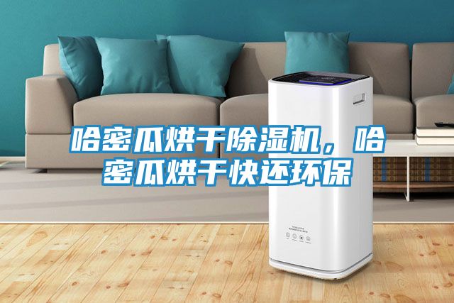 哈密瓜烘干除湿机，哈密瓜烘干快还环保