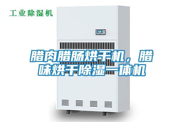腊肉腊肠烘干机，腊味烘干除湿一体机
