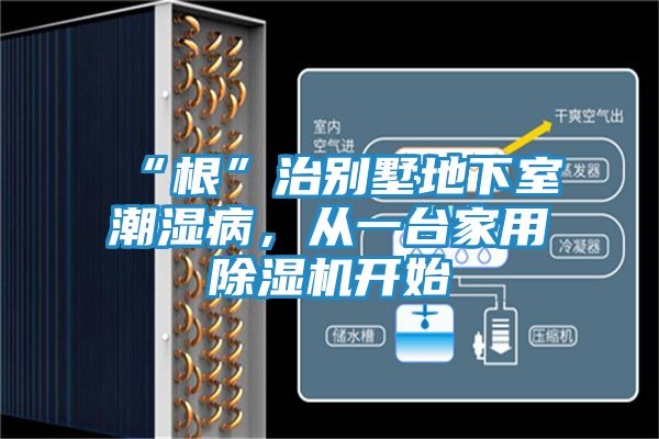 “根”治别墅地下室潮湿病,从一台家用除湿机开始