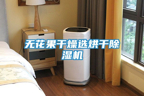 无花果干燥选烘干除湿机