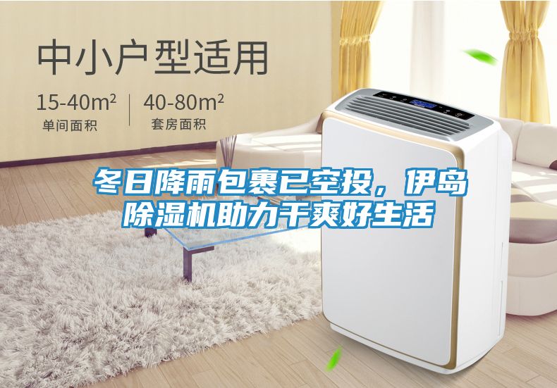 冬日降雨包裹已空投，伊岛除湿机助力干爽好生活