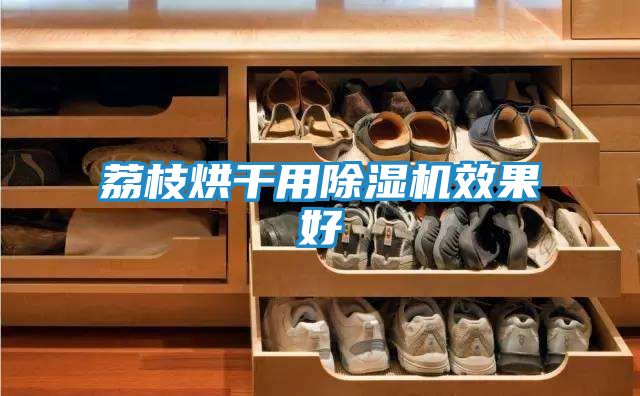 荔枝烘干用除湿机效果好