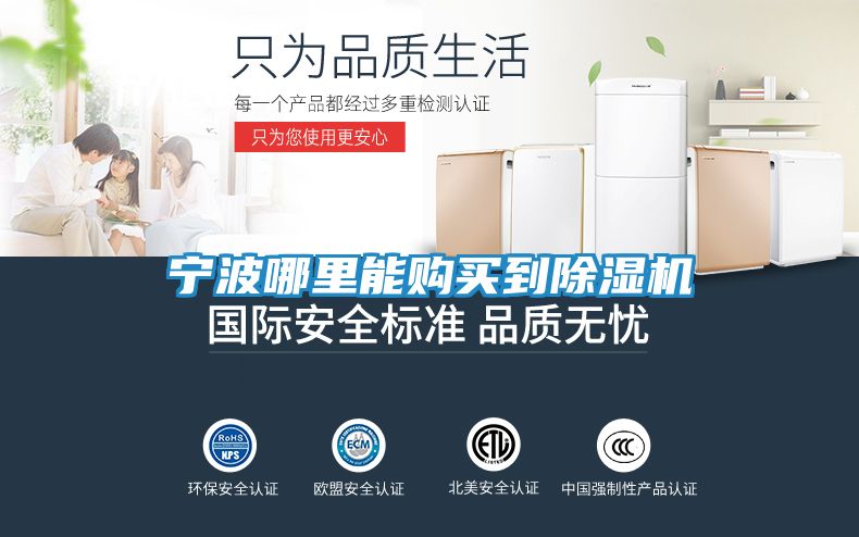 宁波哪里能购买到除湿机