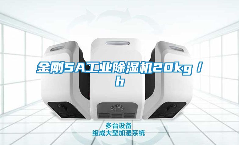金刚5A工业除湿机20kg／h