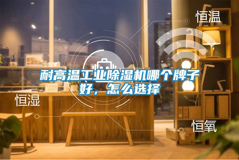 耐高温工业除湿机哪个牌子好，怎么选择