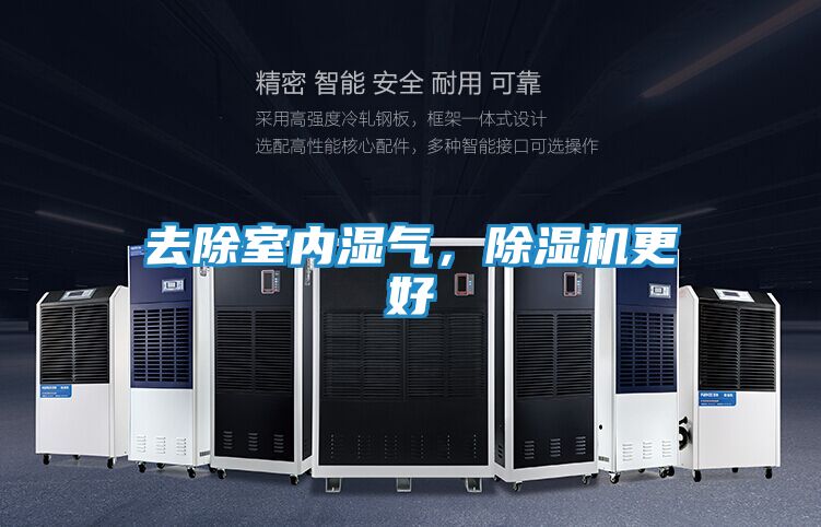 去除室内湿气,除湿机更好