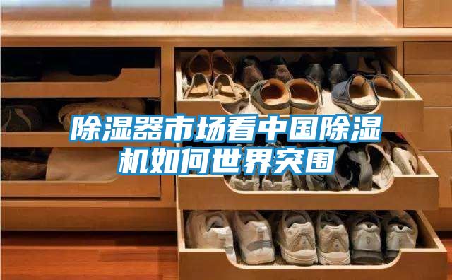 除湿器市场看中国除湿机如何世界突围