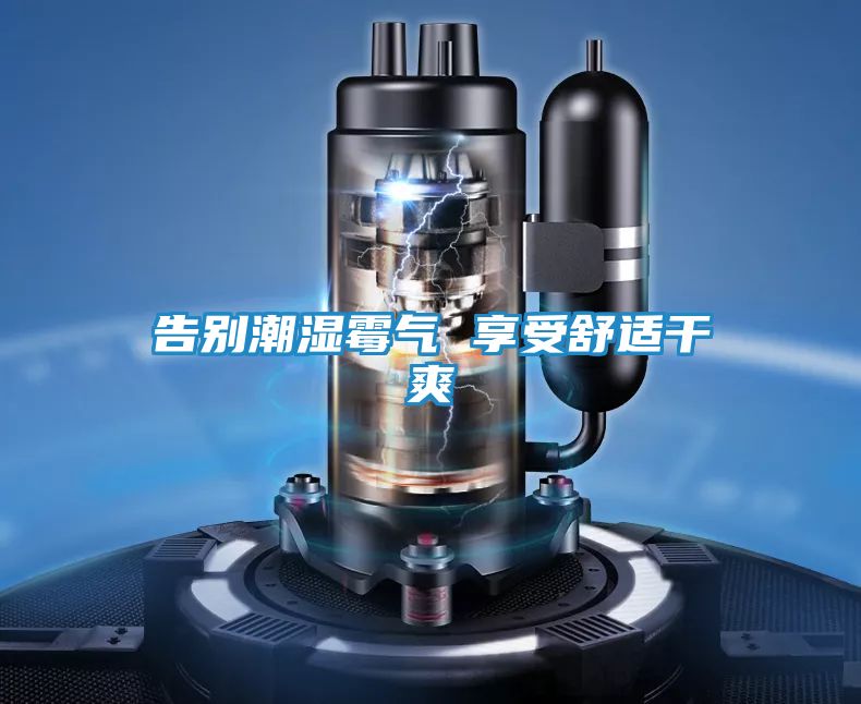 告别潮湿霉气 享受舒适干爽