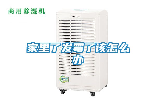家里了发霉了该怎么办