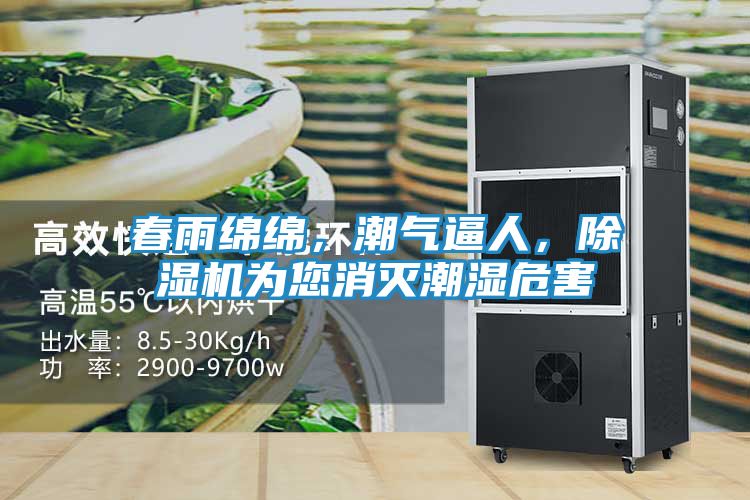 春雨绵绵,潮气逼人,除湿机为您消灭潮湿危害