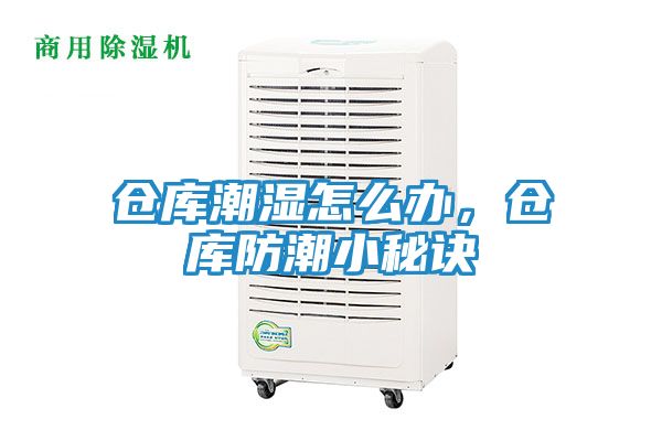 仓库潮湿怎么办，仓库防潮小秘诀