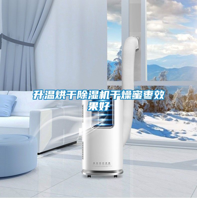 升温烘干除湿机干燥蜜枣效果好