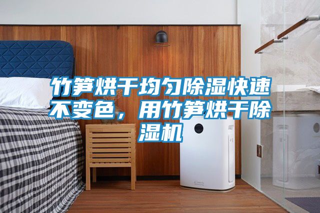 竹笋烘干均匀除湿快速不变色，用竹笋烘干除湿机