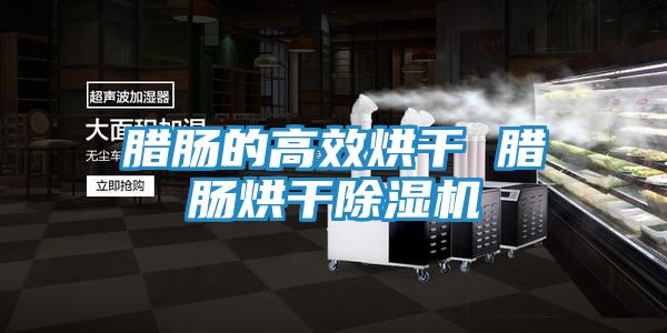 腊肠的高效烘干 腊肠烘干除湿机