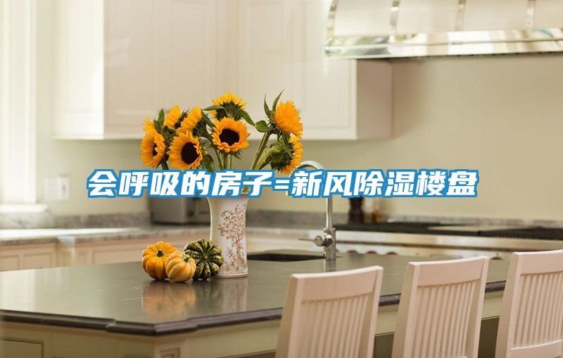 会呼吸的房子=新风除湿楼盘