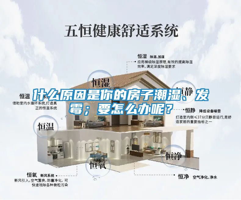 什么原因是你的房子潮湿、发霉；要怎么办呢？