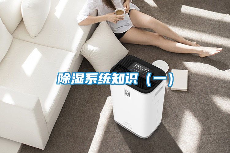除湿系统知识（一）