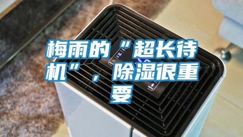梅雨的“超长待机”，除湿很重要