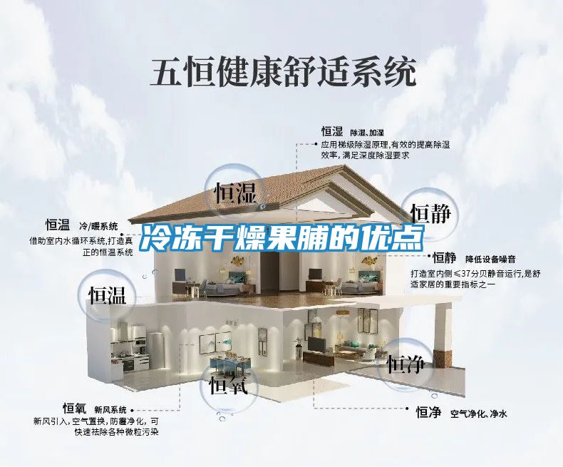 冷冻干燥果脯的优点