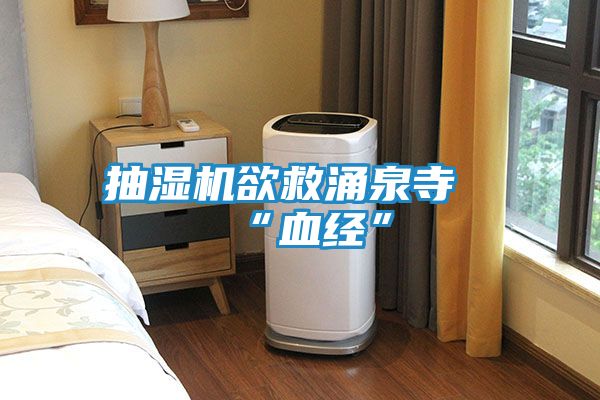 抽湿机欲救涌泉寺“血经”