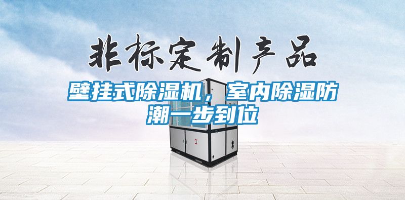 壁挂式除湿机，室内除湿防潮一步到位