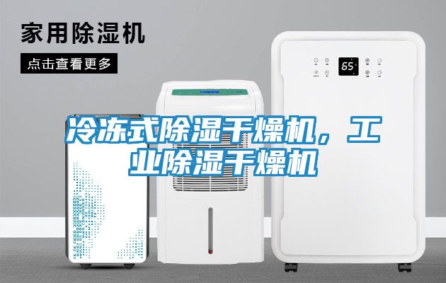 冷冻式除湿干燥机，工业除湿干燥机