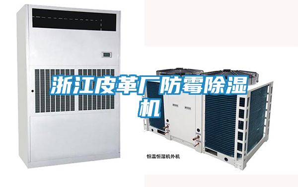 浙江皮革厂防霉除湿机