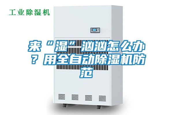 来“湿”汹汹怎么办？用全自动除湿机防范