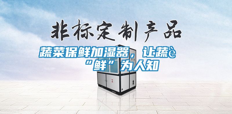 蔬菜保鲜加湿器，让蔬菜“鲜”为人知