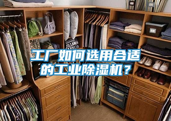 工厂如何选用合适的工业除湿机?