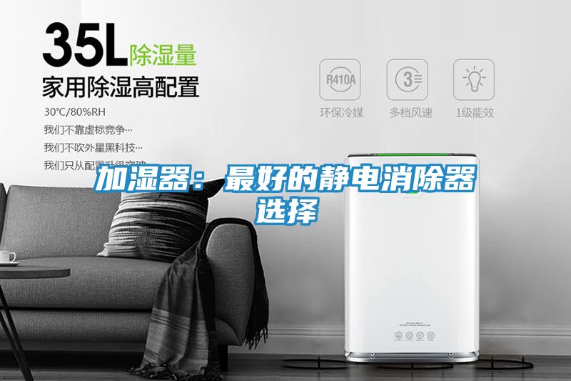 加湿器：最好的静电消除器选择