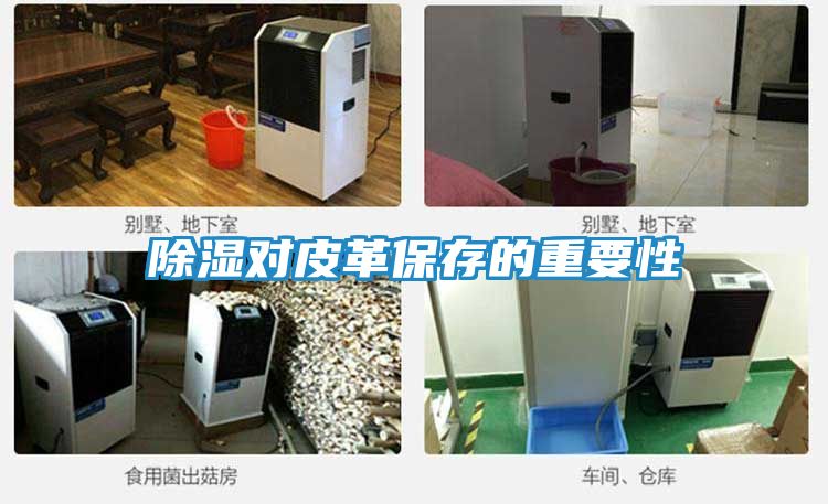 除湿对皮革保存的重要性