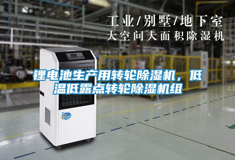 锂电池生产用转轮除湿机，低温低露点转轮除湿机组