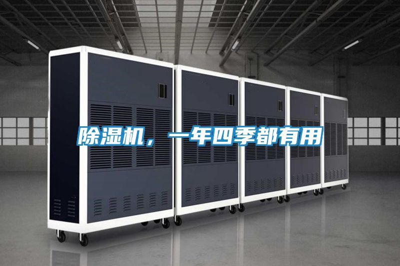 除湿机，一年四季都有用