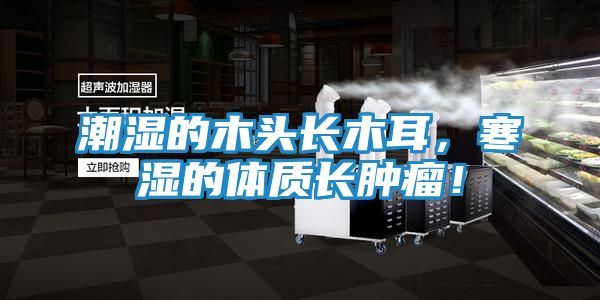 潮湿的木头长木耳，寒湿的体质长肿瘤！