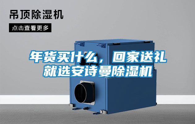 年货买什么，回家送礼就选安诗曼除湿机