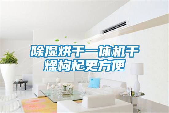 除湿烘干一体机干燥枸杞更方便