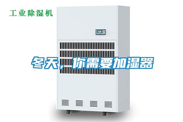 冬天，你需要加湿器