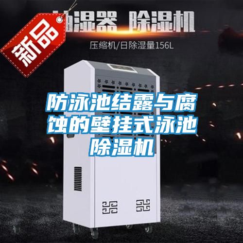 防泳池结露与腐蚀的壁挂式泳池除湿机