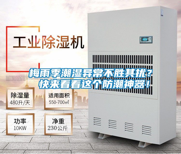 梅雨季潮湿异常不胜其扰？ 快来看看这个防潮神器！