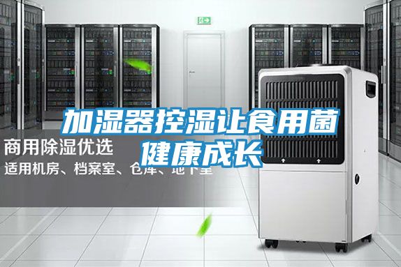 加湿器控湿让食用菌健康成长